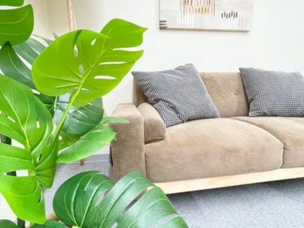 ナチュラルで落ち着いた空間|COCO会議室なんば駅前店